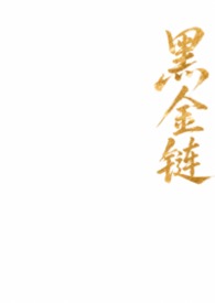 黑金链条包大容量
